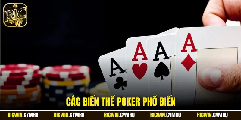 Các biến thể Poker phổ biến