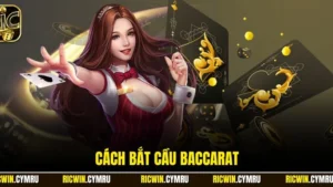 Cách bắt cầu baccarat