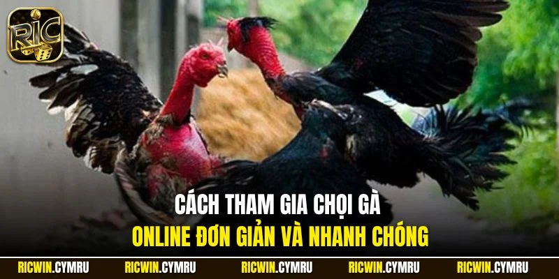 Cách tham gia chọi gà online đơn giản và nhanh chóng