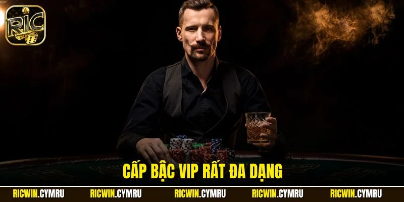 Cấp bậc vip rất đa dạng