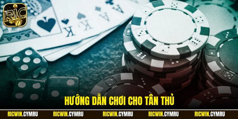 Hướng dẫn chơi cho tân thủ