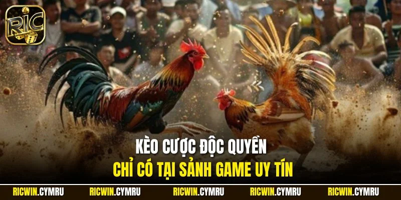 Kèo cược độc quyền chỉ có tại sảnh game uy tín