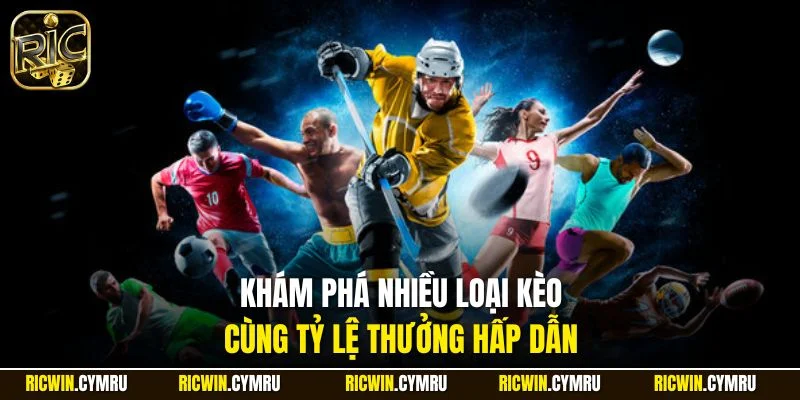 Khám phá nhiều loại kèo cùng tỷ lệ thưởng hấp dẫn