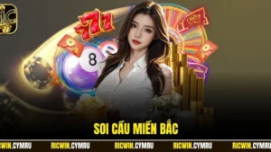 Soi cầu miền Bắc