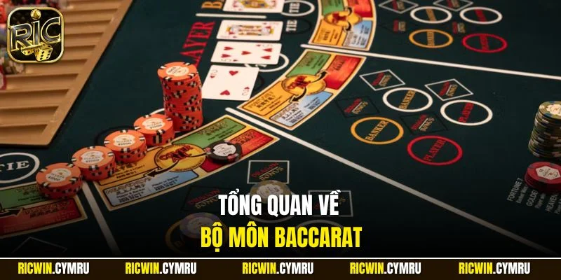 Tổng quan về bộ môn Baccarat